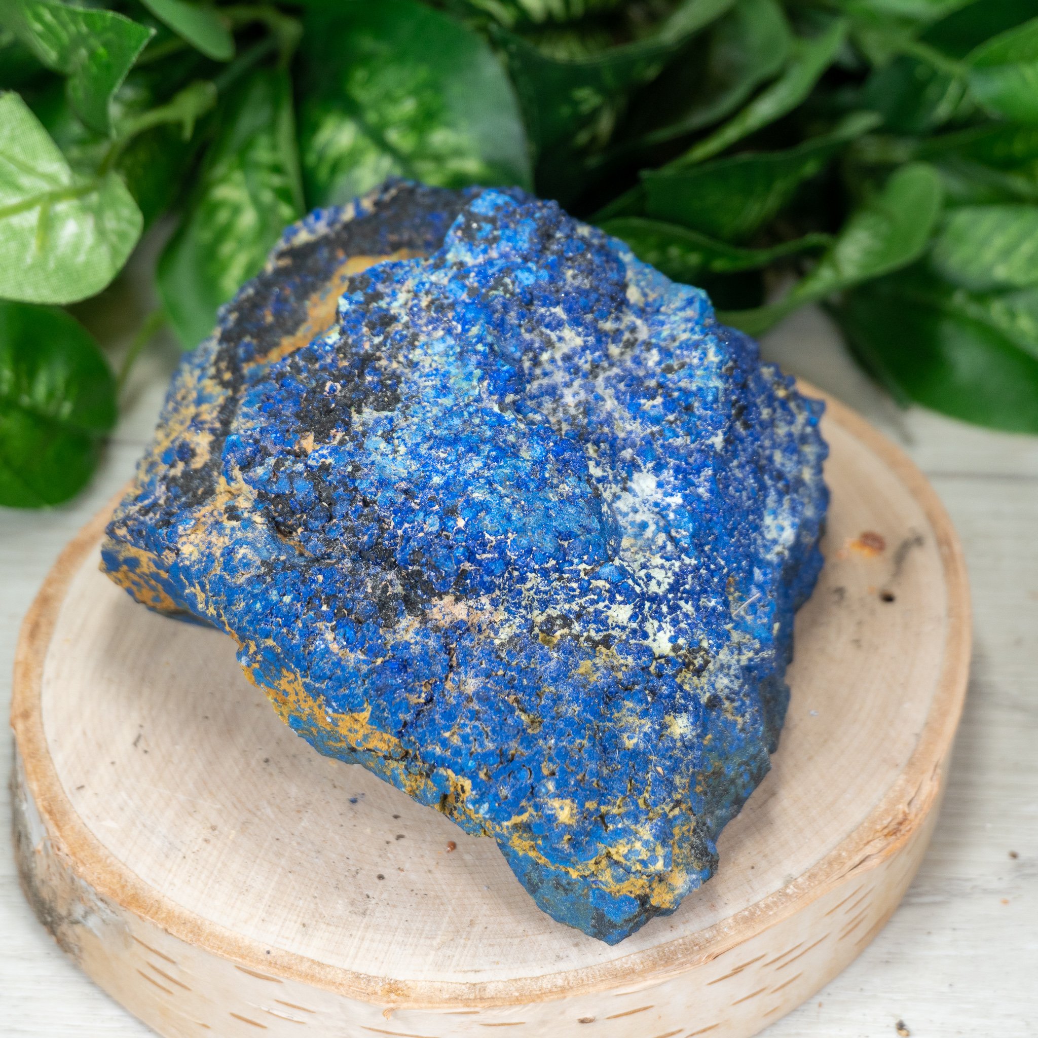 Large Druzy Morenci Azurite #3