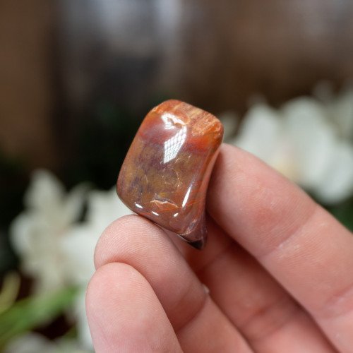 Tumbled Petrified Wood