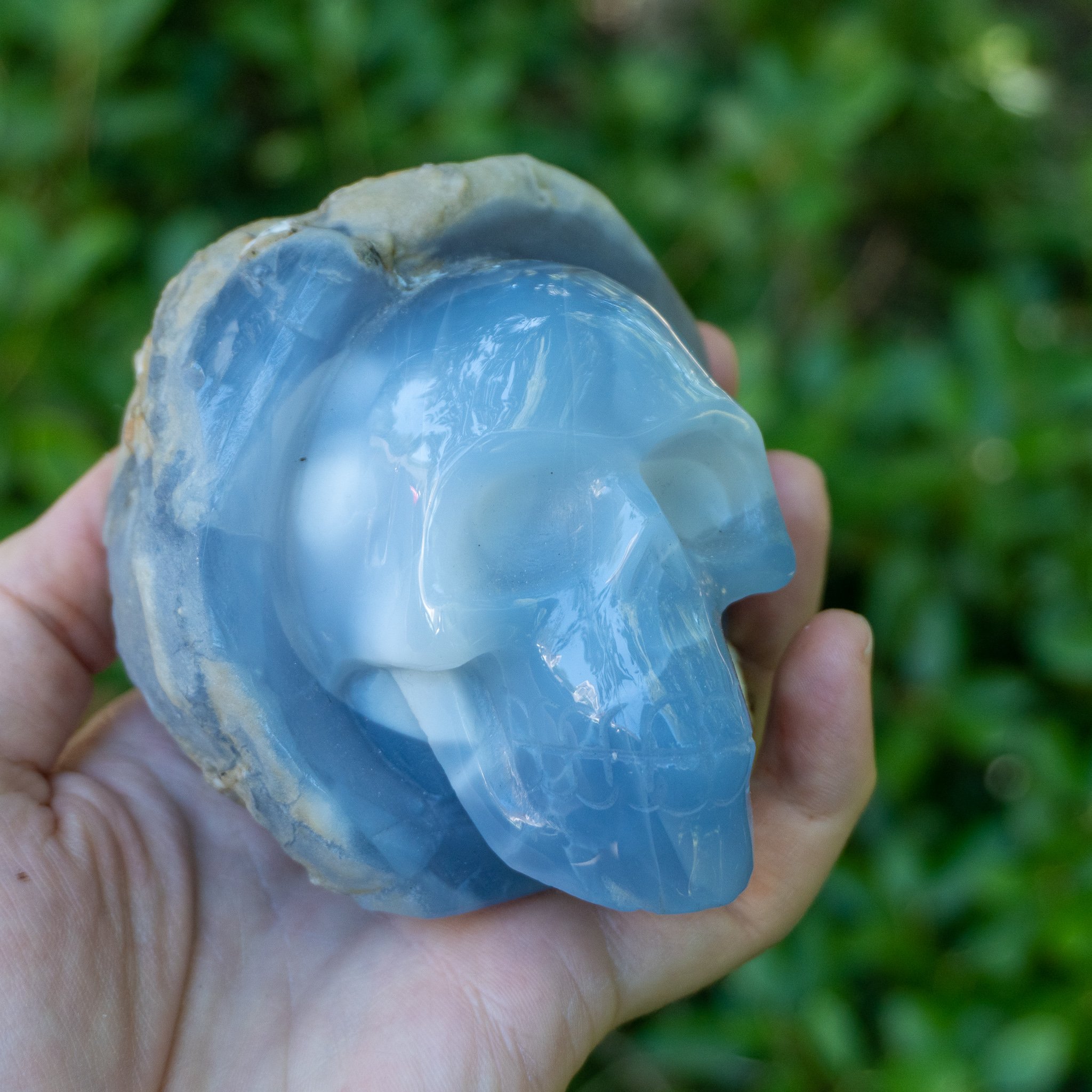 Blue Chalcedony Skull in Geode