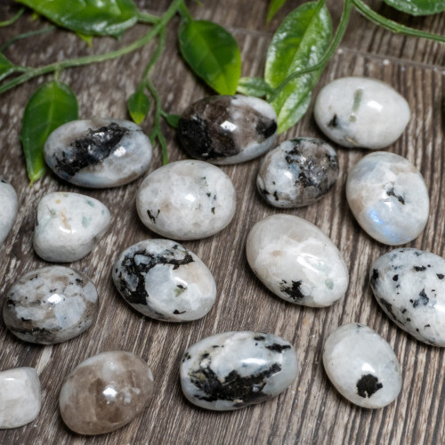 Rainbow Moonstone Tumbled