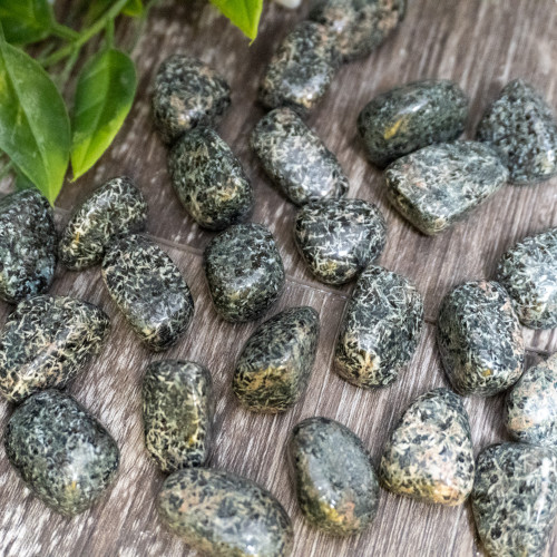 Flower Rhyolite Tumbled