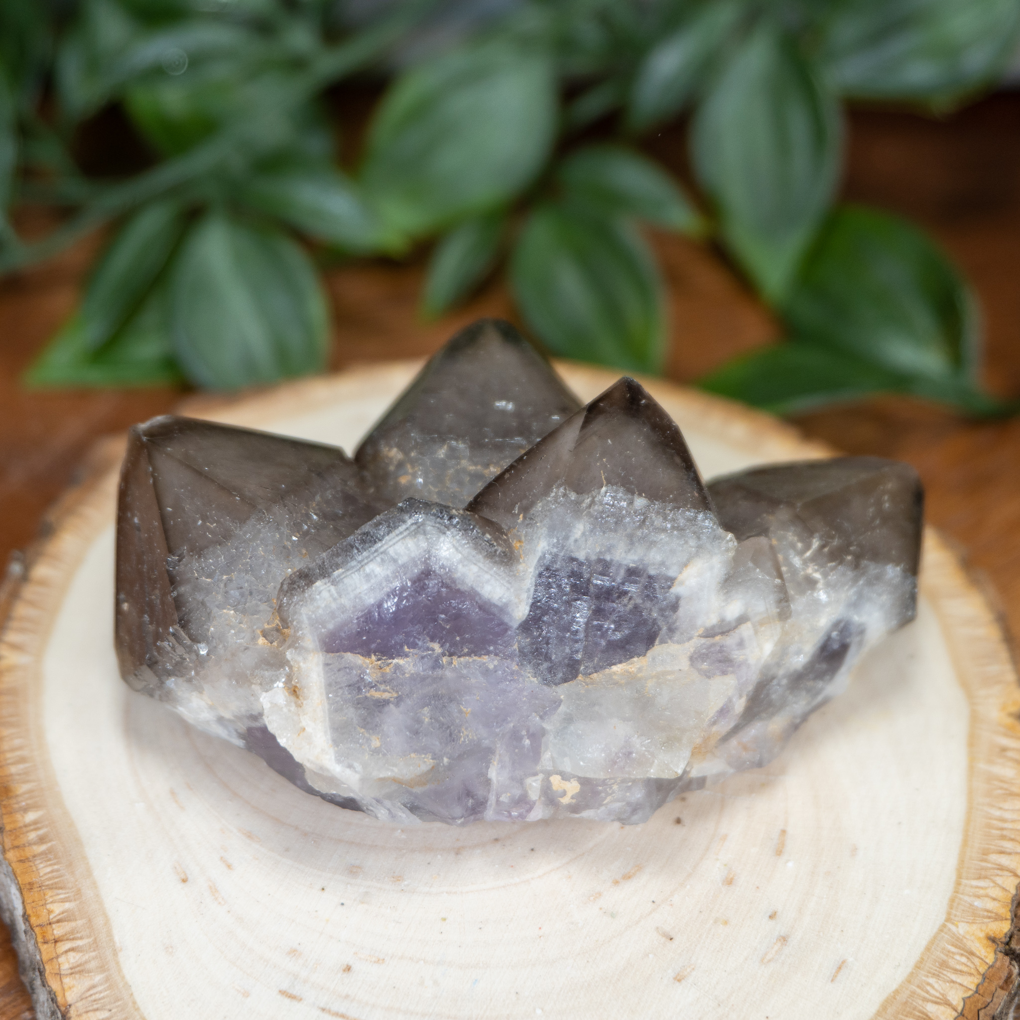 Smoky Quartz over Amethyst Triple Point