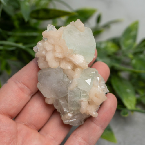 Green Apophyllite #5