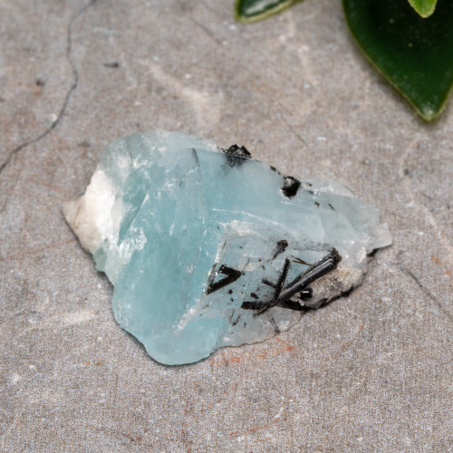 Black Tourmaline in Quartz with Clevelandite and Aquamarine #1