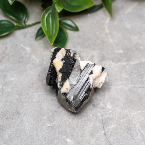 Black Tourmaline in Quartz with Clevelandite #4