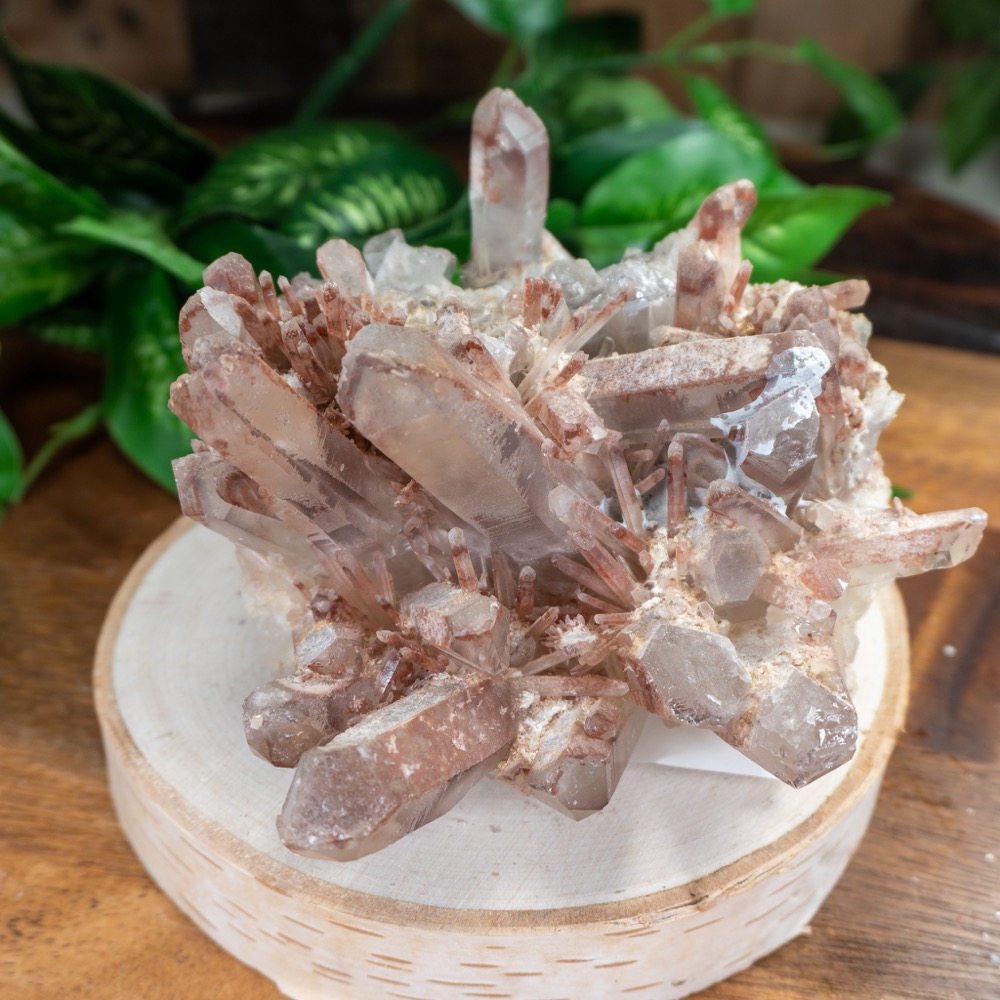 Hematite Included Madagascar Quartz Family #2