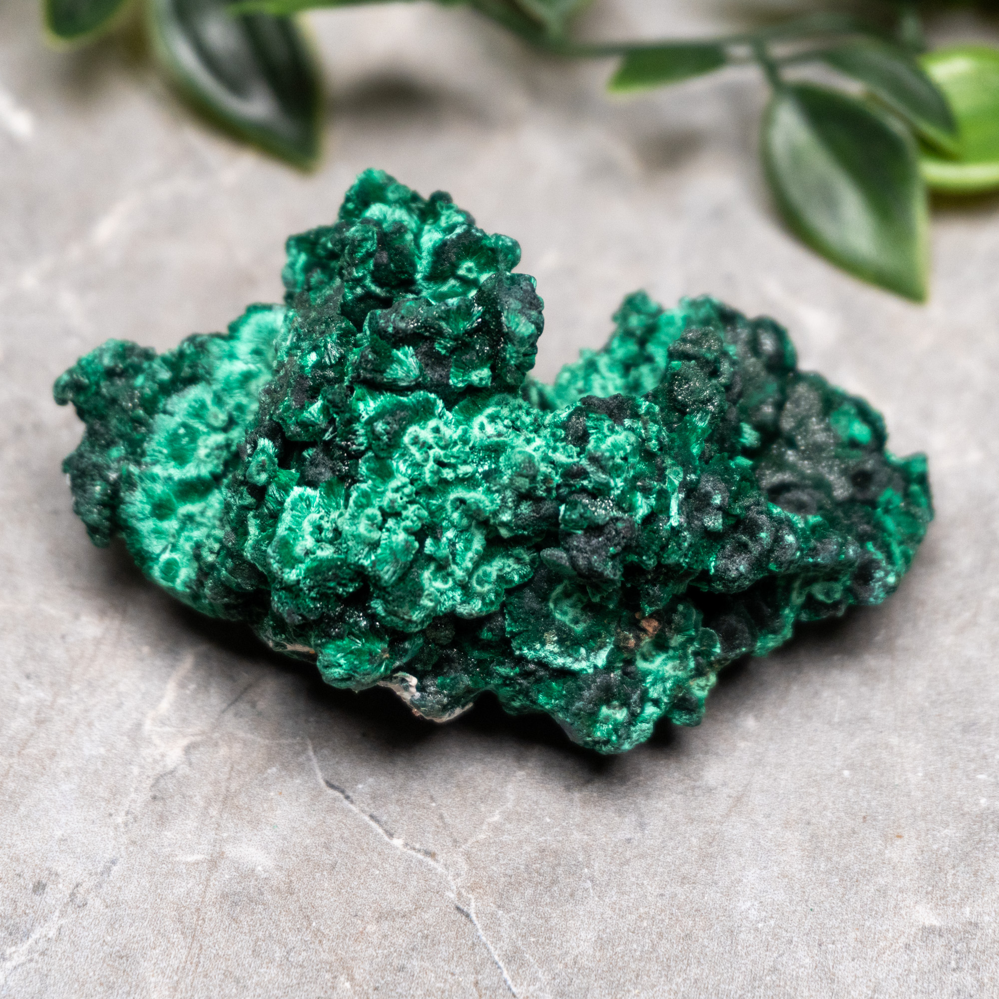 Fibrous Malachite #1 - The Crystal Council