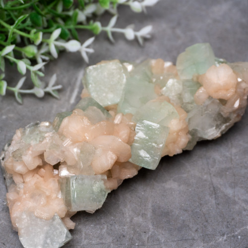 XL Green Apophyllite #2