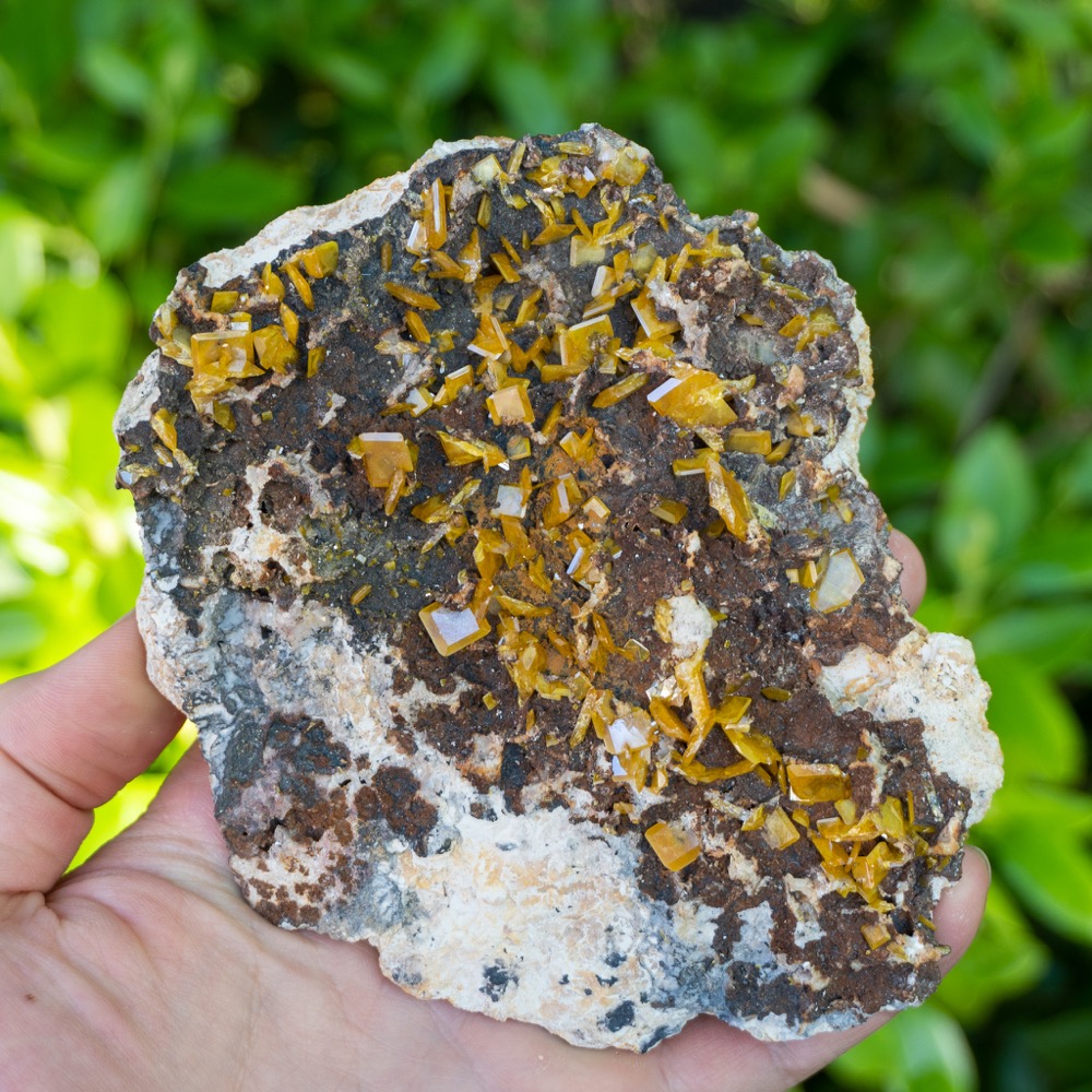 Wulfenite on Matrix #1