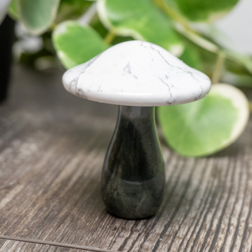 Nine Dragon Jade & Howlite Mushroom