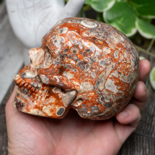 Red Rhyolite Skull Large