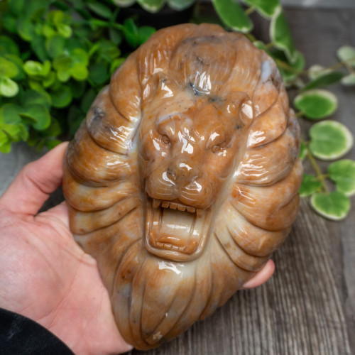 Chalcedony & Agate Lion Carving #2