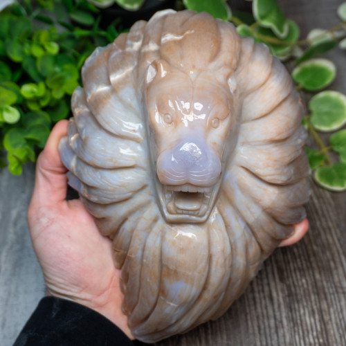Chalcedony & Agate Lion Carving #1