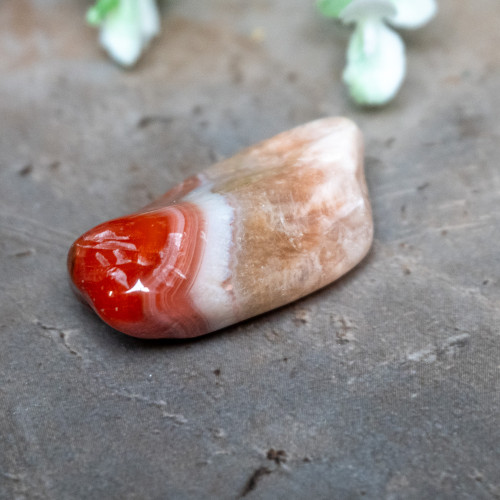 Pilbara Agate Polished #30