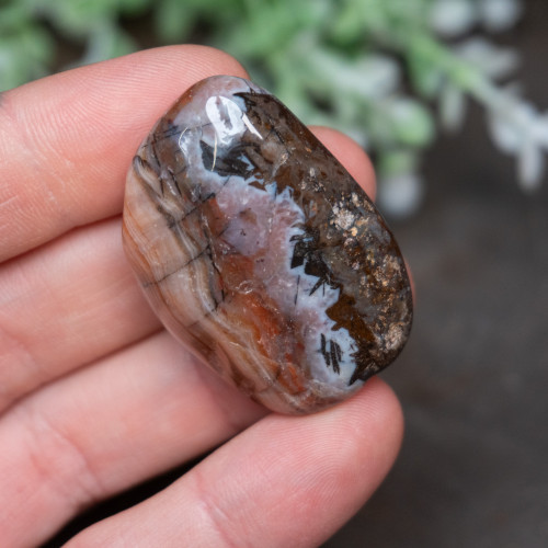 Pilbara Agate Polished #17