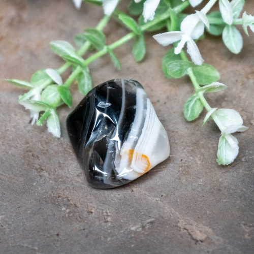 Pilbara Agate Polished #11