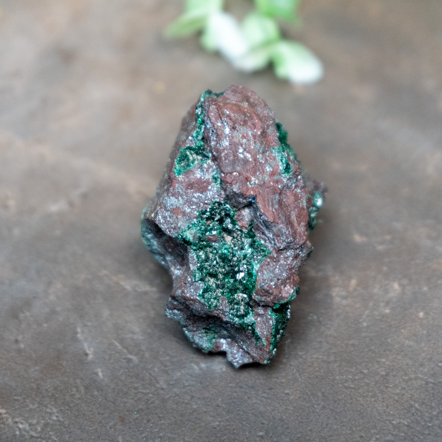 Brochantite Raw #2 - The Crystal Council