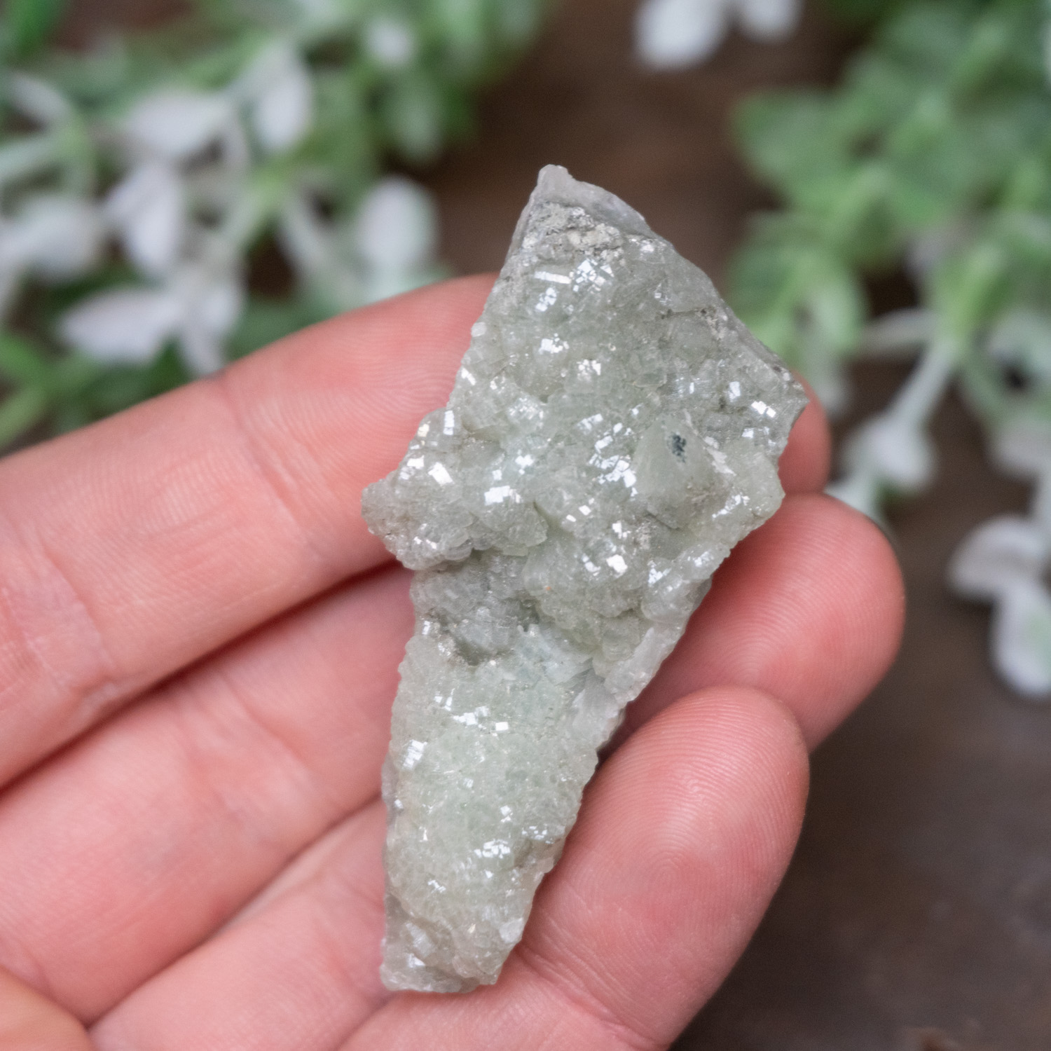 Prhenite Prehnite Raw #5 - The Crystal Council