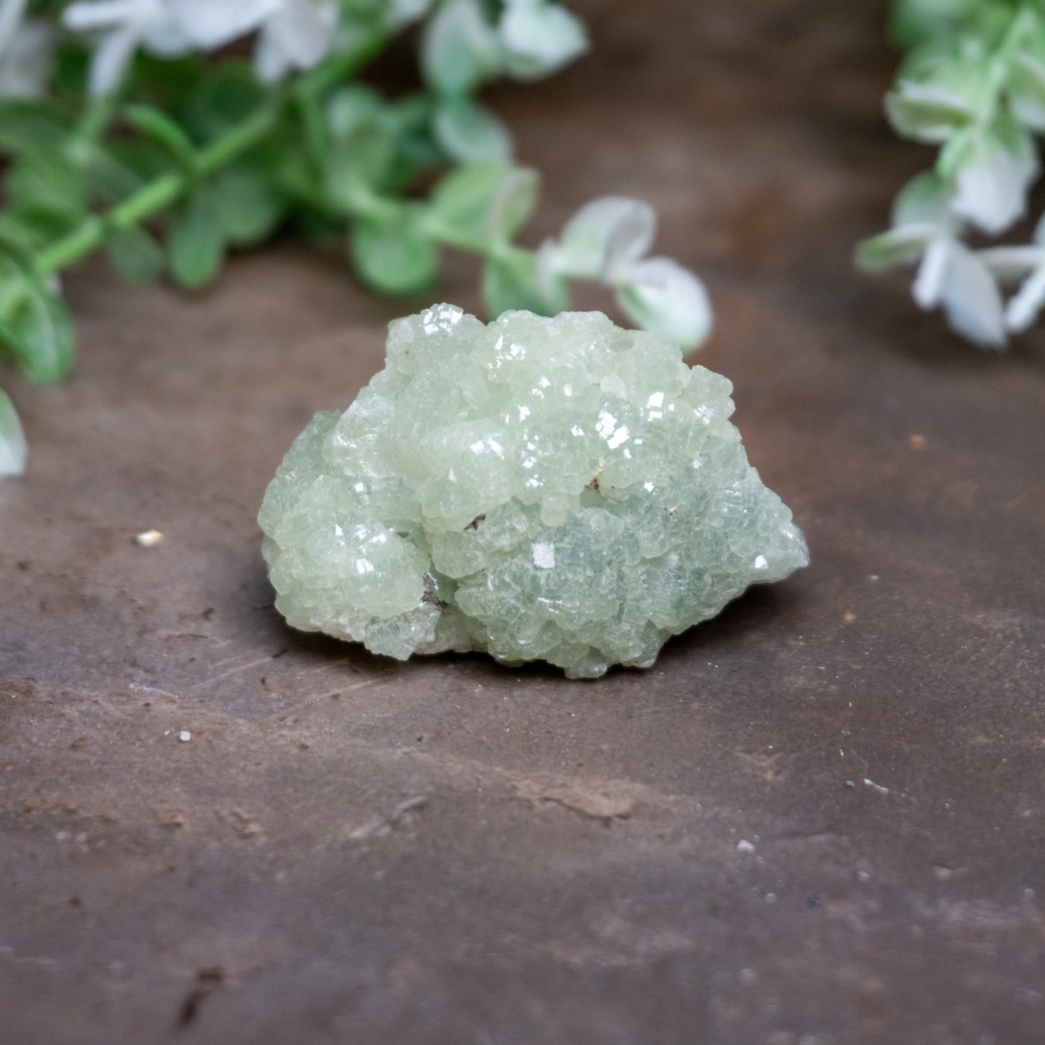 Prhenite Prehnite Raw #2 - The Crystal Council