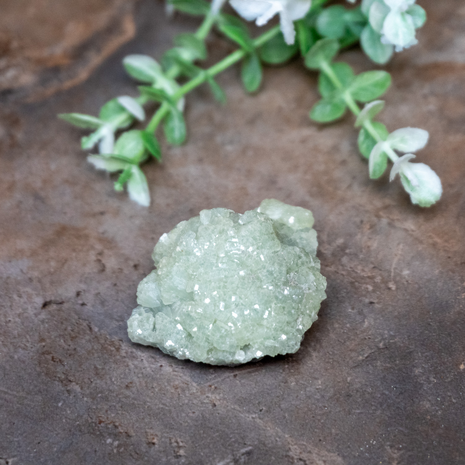 Prhenite Prehnite Raw #1 - The Crystal Council