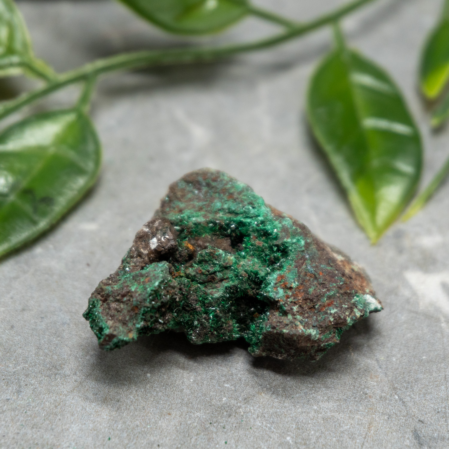 Brochantite Raw #3 - The Crystal Council