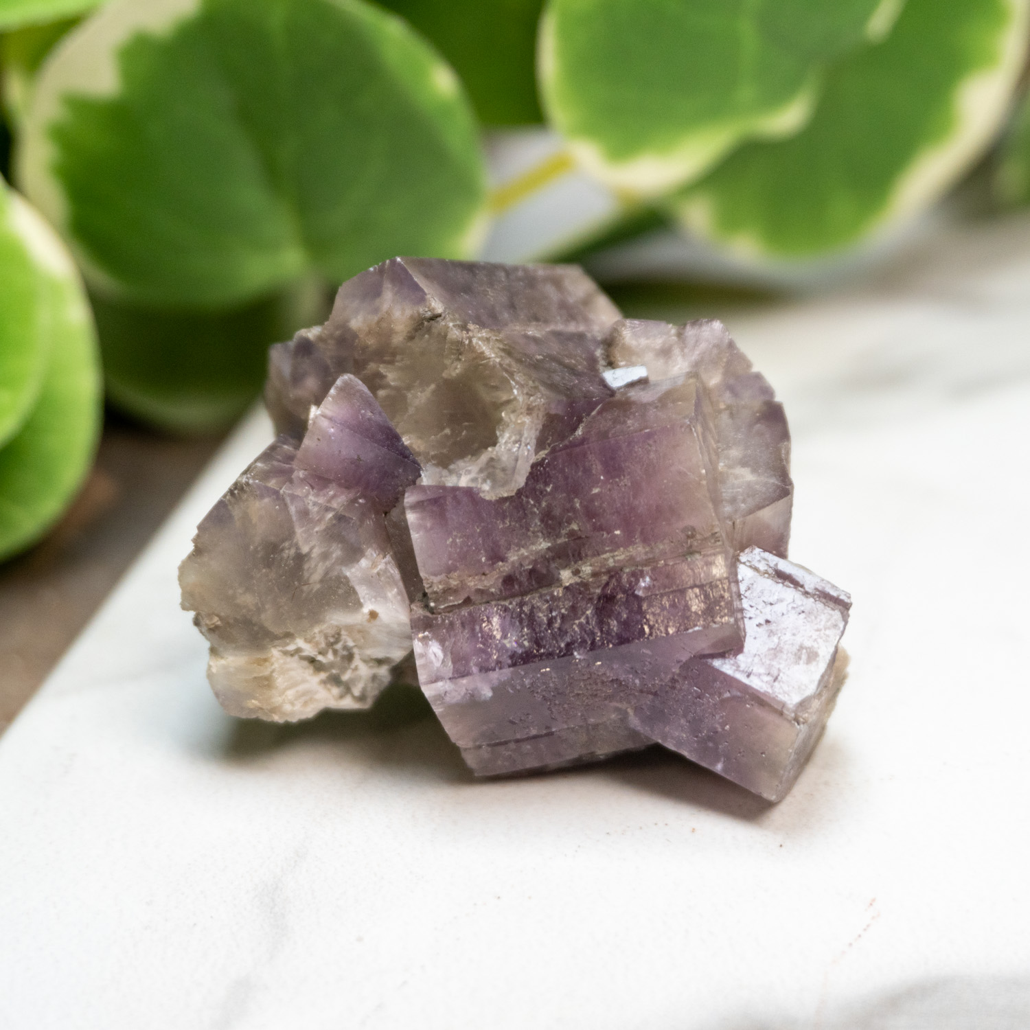Purple Aragonite 11 The Crystal Council
