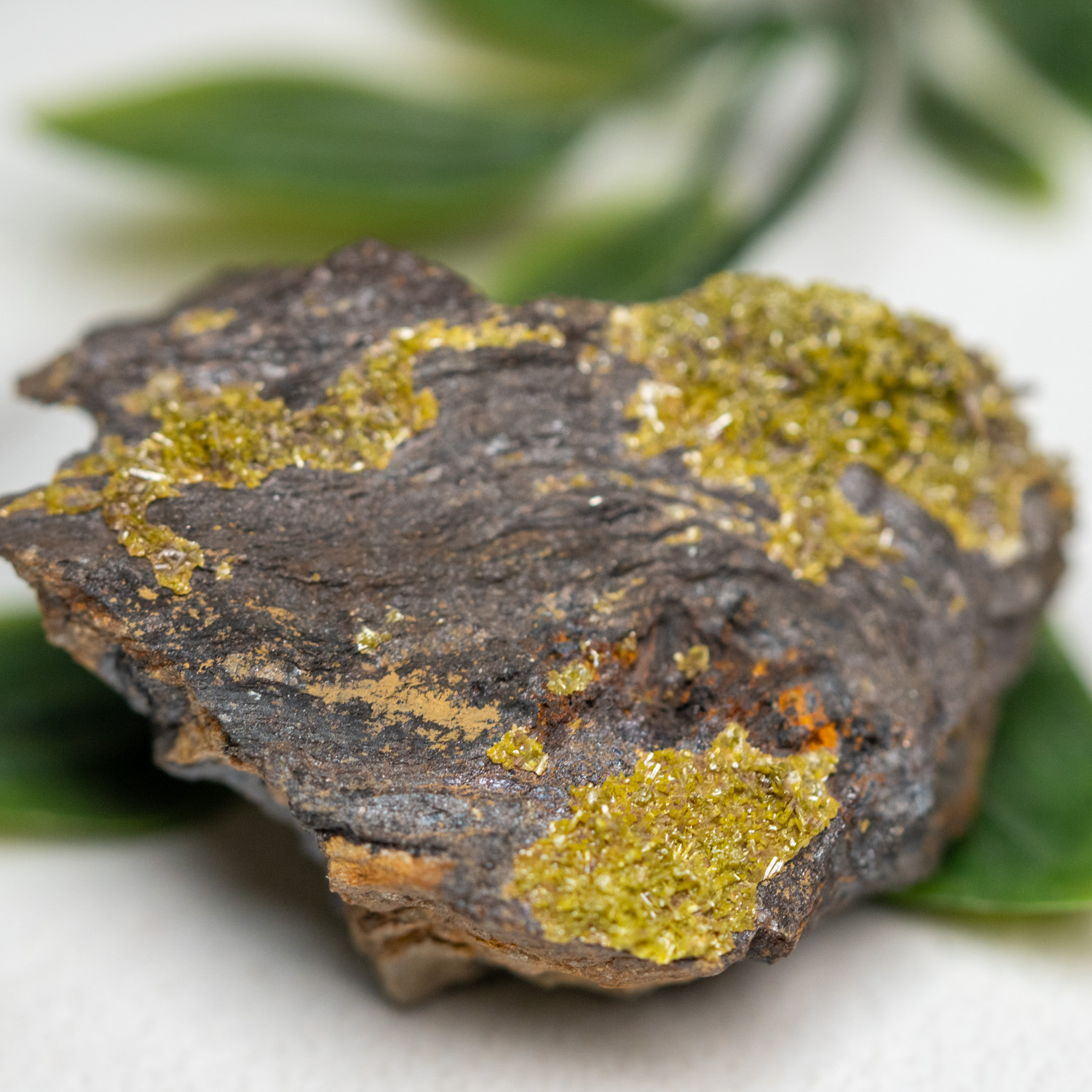 Pyromorphite Raw #1