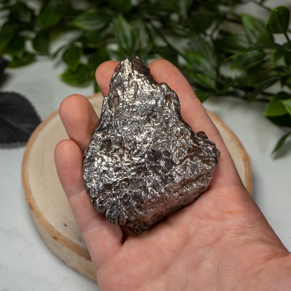 Campo Del Cielo Meteorite #1