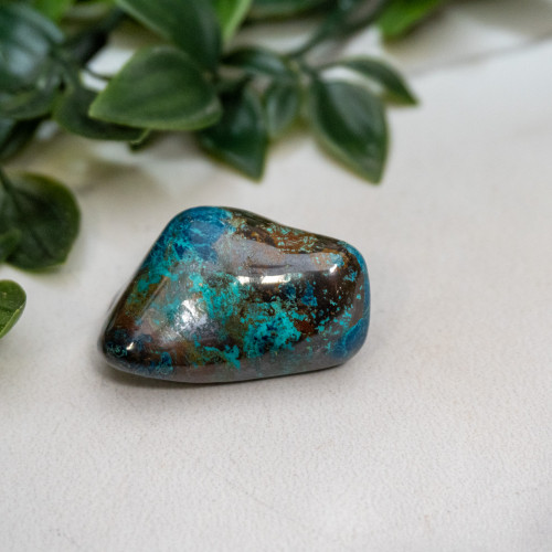 Shattuckite, Cuprite and Tenorite Polished Medium #2