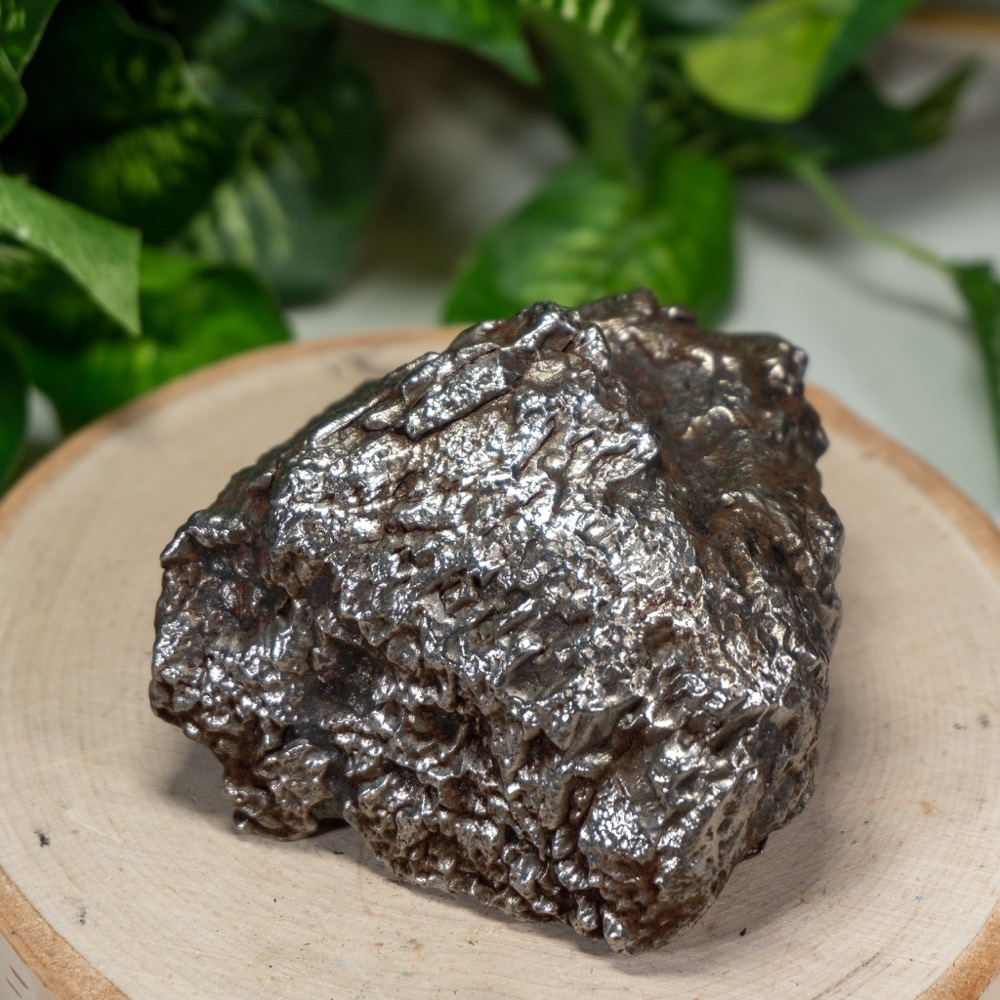 Campo Del Cielo Meteorite #3