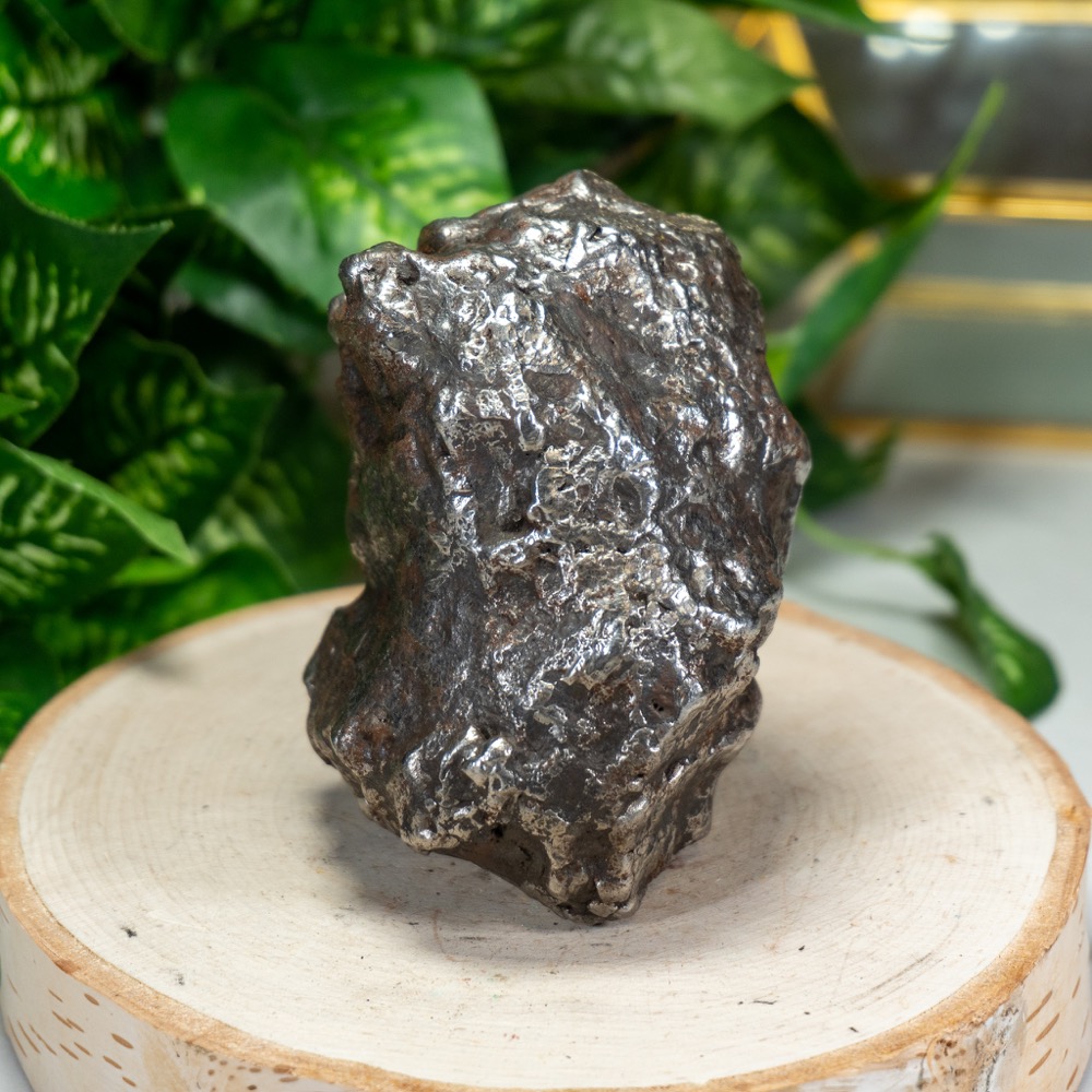 Campo Del Cielo Meteorite #4