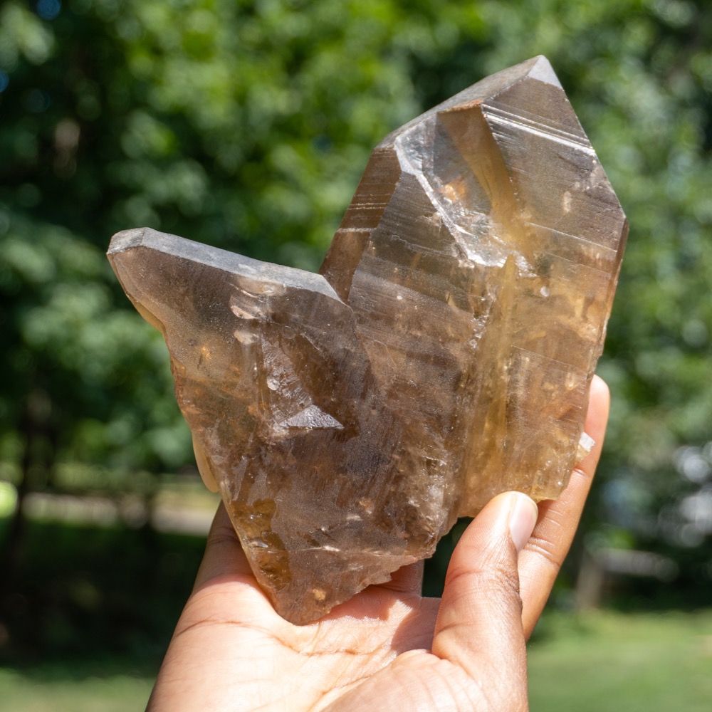 Small Citrine Japan Law Twin