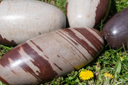 Shiva Lingam