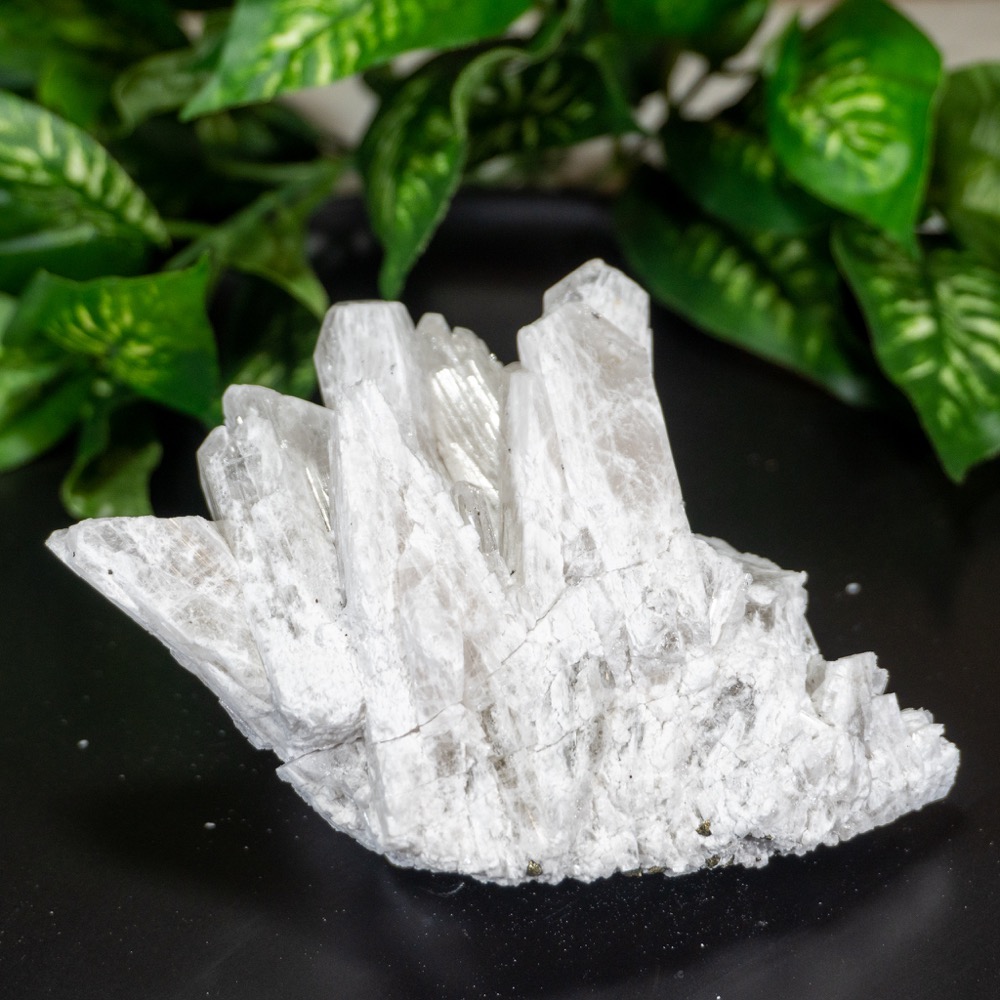 Raw Danburite Family With Pyrite #2