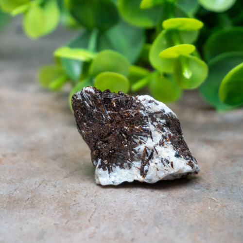 Astrophyllite Raw #1