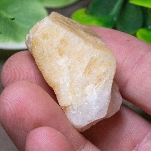 Yellow Danburite Raw #2