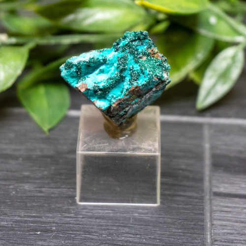 Atacamite on Chrysocolla #1