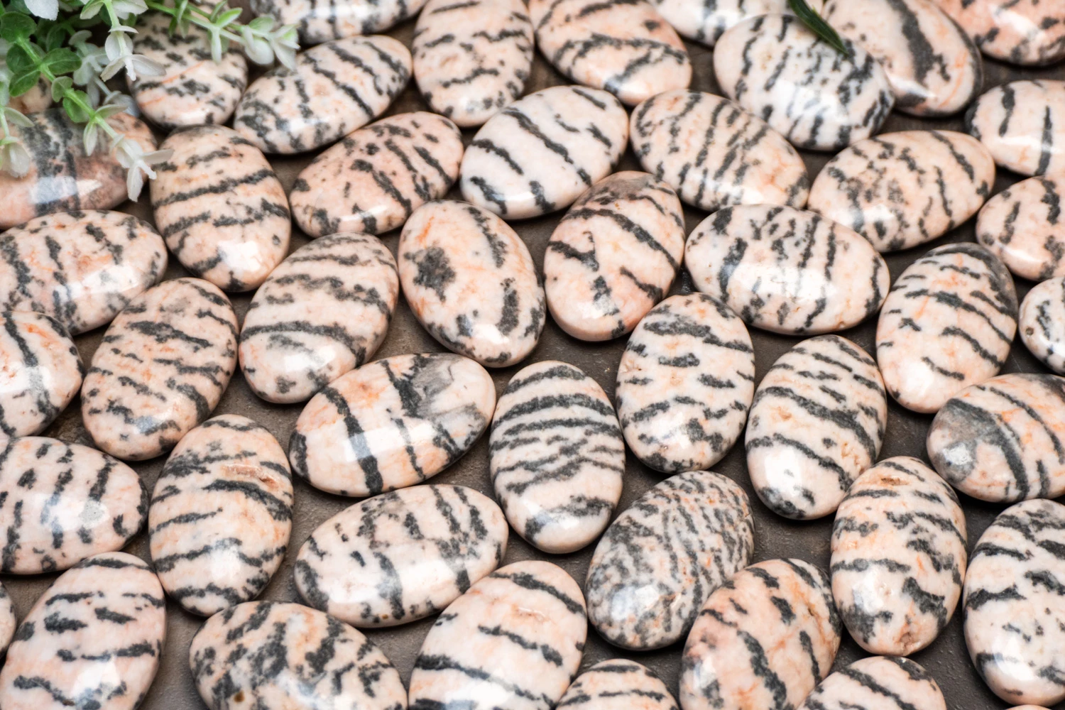 Pink Zebra Jasper