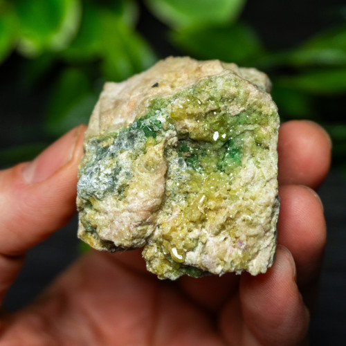 Vesuvianite Small Raw #5