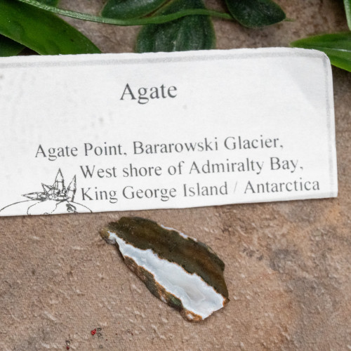 Antarctica Agate Slice #1