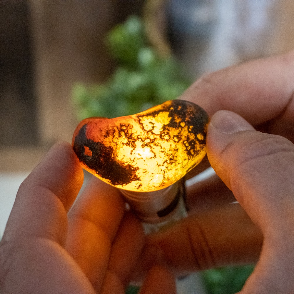 Small Black River Carnelian