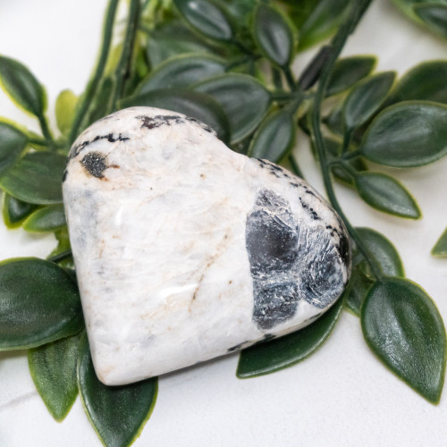 Blue Jay Sapphire Heart #2