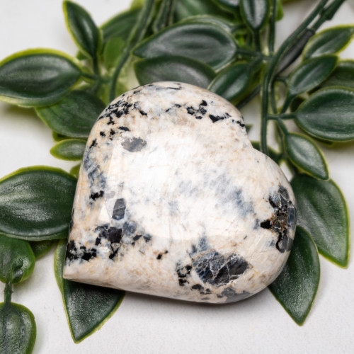 Blue Jay Sapphire Heart #1