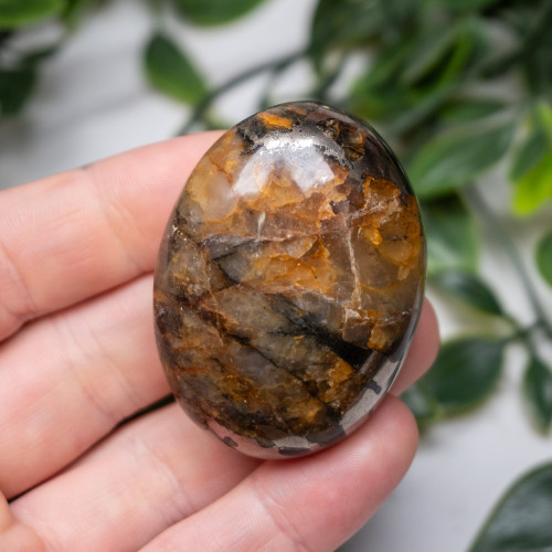 Lion's Gate Quartz Palmstone #1