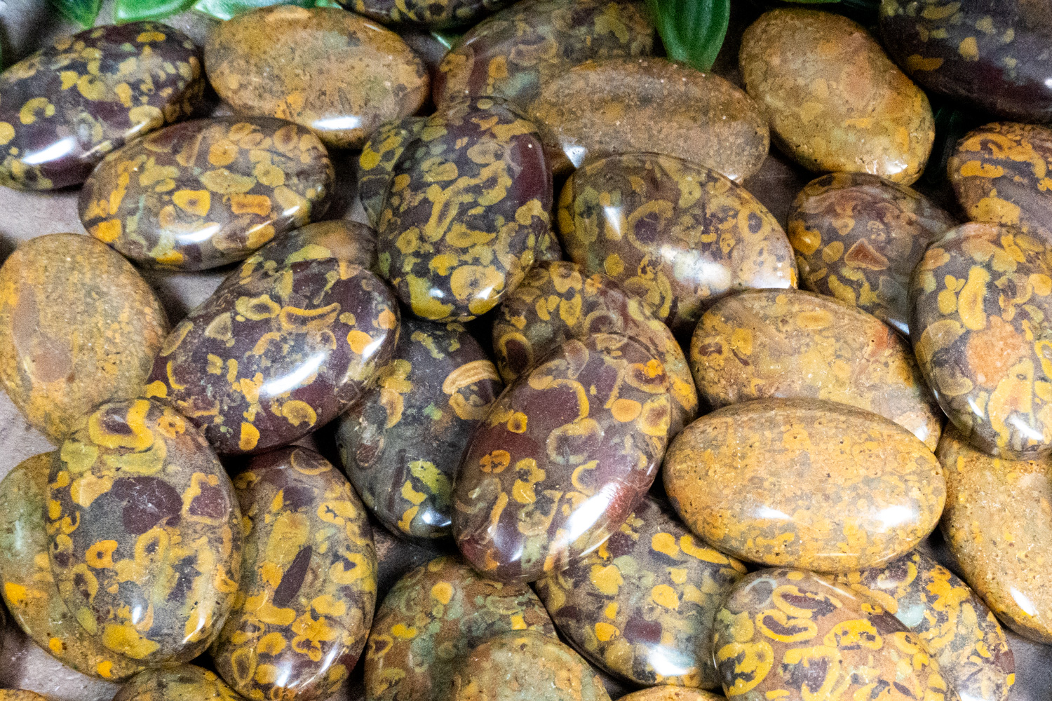 Fruit Jasper
