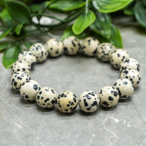 Dalmatian Jasper Bracelet 12mm