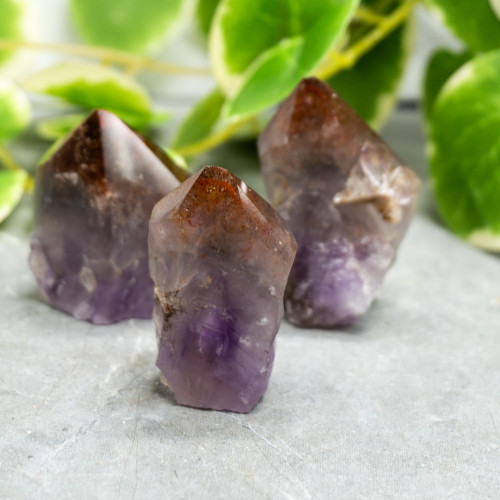 Super 7 Point Cut Base