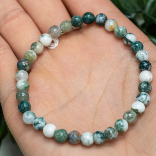 Tree Agate Bracelet 6mm