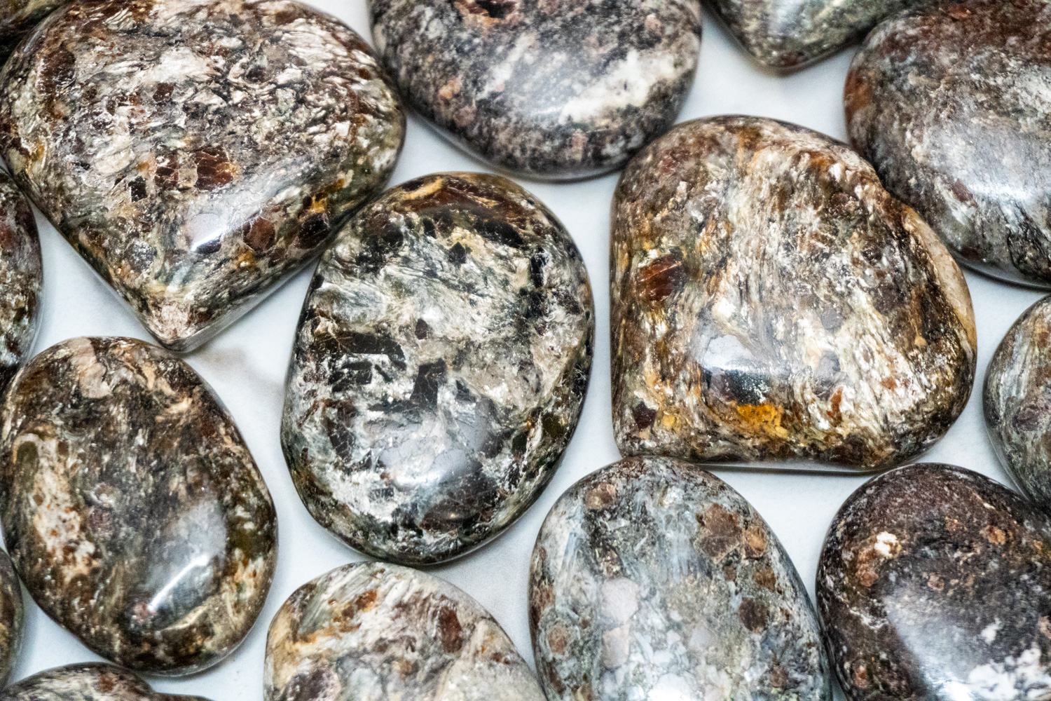 Garnet in Staurolite