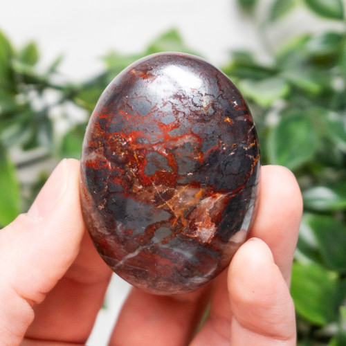 Jaspillite Palmstone #4